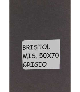 Bristol Favini misura 50x70 gr.200 marrone