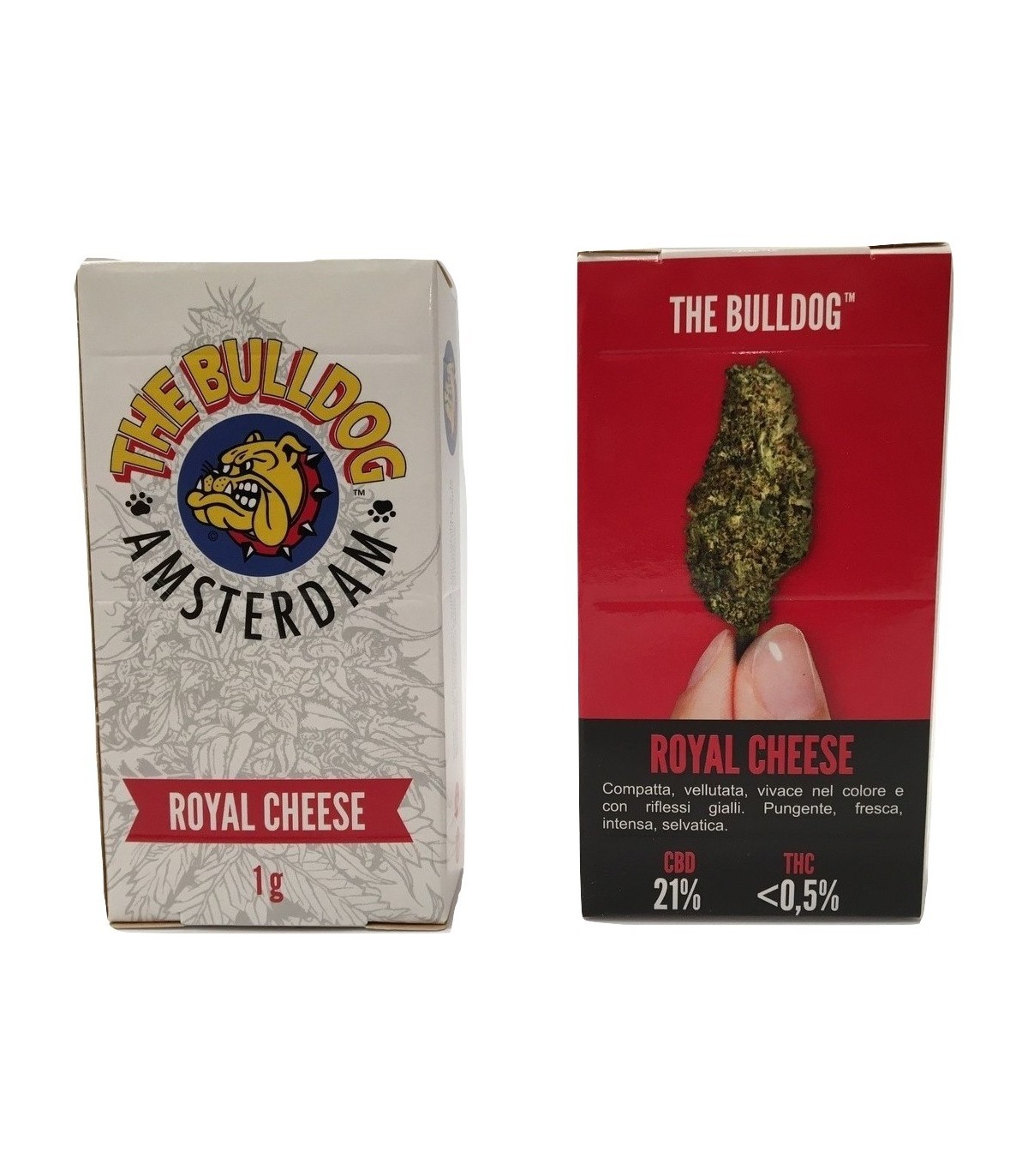 Infiorescenza di Cannabis Light Bulldog Royal Cheese cbd 21% scatolina da 1  gr
