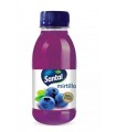 SANTAL SUCCO DI FRUTTA GUSTO MIRTILLO DA 24 BOTTIGLIE PET DA 250ML