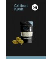 Infiorescenza di Cannabis Narnia CRITICAL KUSH CBD 25% BUSTINA  da 5 gr