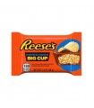 BISCOTTI REESE'S BIG POTATO RIPIENI DI CIOCCOLATO E BURRO DI ARACHIDI E PATATINE 36G CONF. 16 PZ.