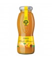 SUCCO DI FRUTTA RAUCH GUSTO ALBICOCCA  BOTTIGLIA IN VETRO DA 200ML CARTONE DA 12PZ.