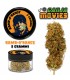 Infiorescenza di Cannabis Light Ganja Movies 5gr Ramborange IN ELEGANTE BARATTOLO DI VETRO