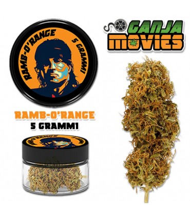 Infiorescenza di Cannabis Light Ganja Movies 5gr Ramborange IN ELEGANTE BARATTOLO DI VETRO