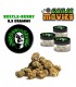 Ganja Movies display 15pz + 15pz Infiorescenza di Cannabis Light DA 5GR+ IN OMAGGIO 15pz Beetle-Berry da 0,5gr