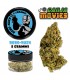 Ganja Movies display 15pz + 15pz Infiorescenza di Cannabis Light DA 5GR+ IN OMAGGIO 15pz Beetle-Berry da 0,5gr