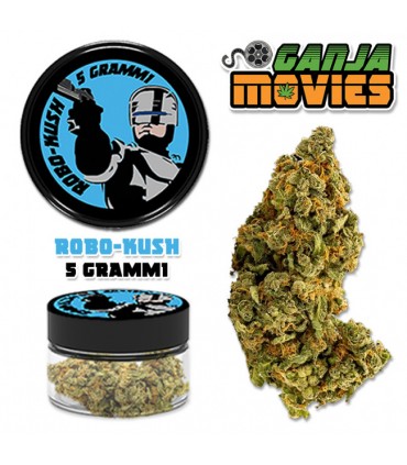 Ganja Movies display 15pz + 15pz Infiorescenza di Cannabis Light DA 5GR+ IN OMAGGIO 15pz Beetle-Berry da 0,5gr