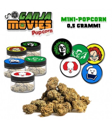 Ganja Movies Popcorn 0,5gr EXPO DA 75pz Infiorescenza di Cannabis Light