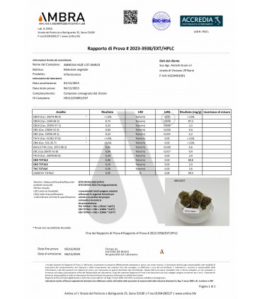 Infiorescenza di Cannabis Narnia Crew Sativa Amnesia haze CBD 20% bustina da 1 gr