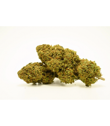 Infiorescenza di Cannabis Narnia Crew Sativa Wedding cake CBD 25% bustina da 1 gr